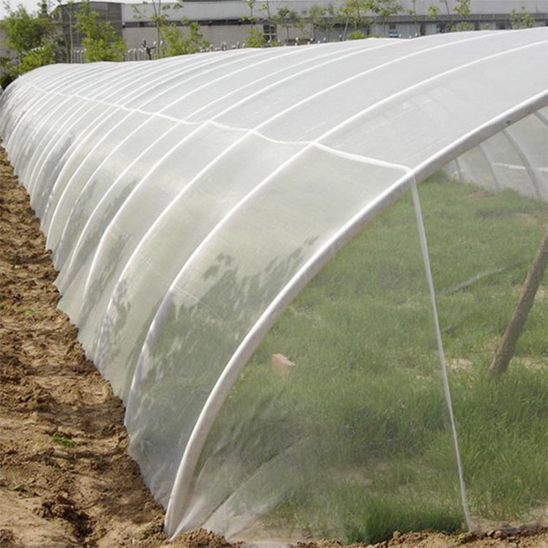 Fruit Tree Anti-bird Nets, Orchard Fish Pond Breeding Nets, Greenhouse Protection Nets, Anti-bird Nets
