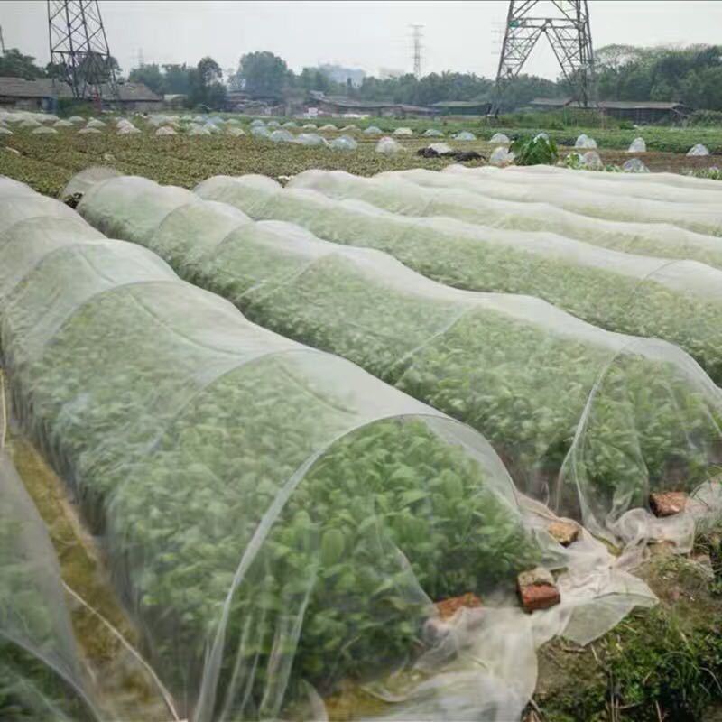 Fruit Tree Anti-bird Nets, Orchard Fish Pond Breeding Nets, Greenhouse Protection Nets, Anti-bird Nets