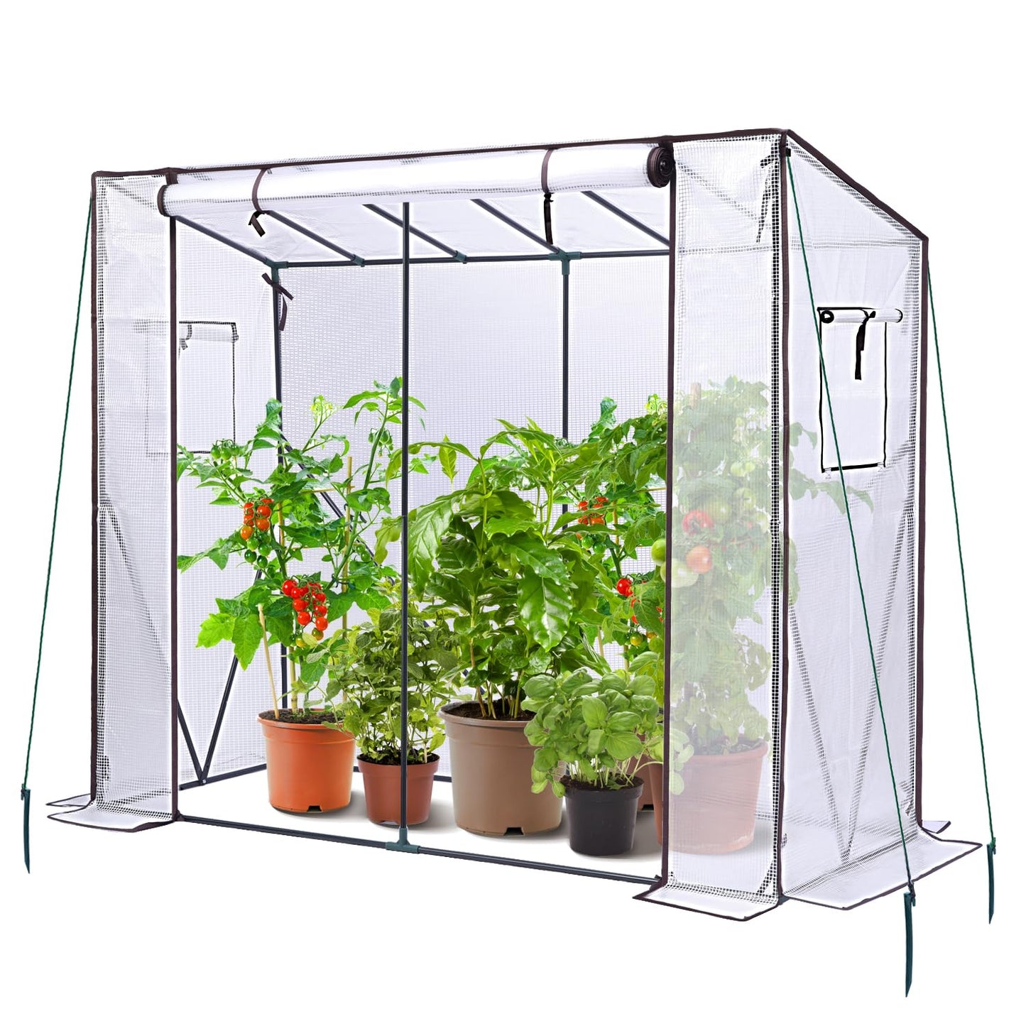 Ohuhu Tomaten Gewächshaus Foliengewächshaus mit PE-Abdeckung und Fernster, Begehbarer Gewächshaus Stabil 200x77x170 cm Gewächshaus Klein Winterfest Tomatenhaus für Optimales Pflanzenwachstum