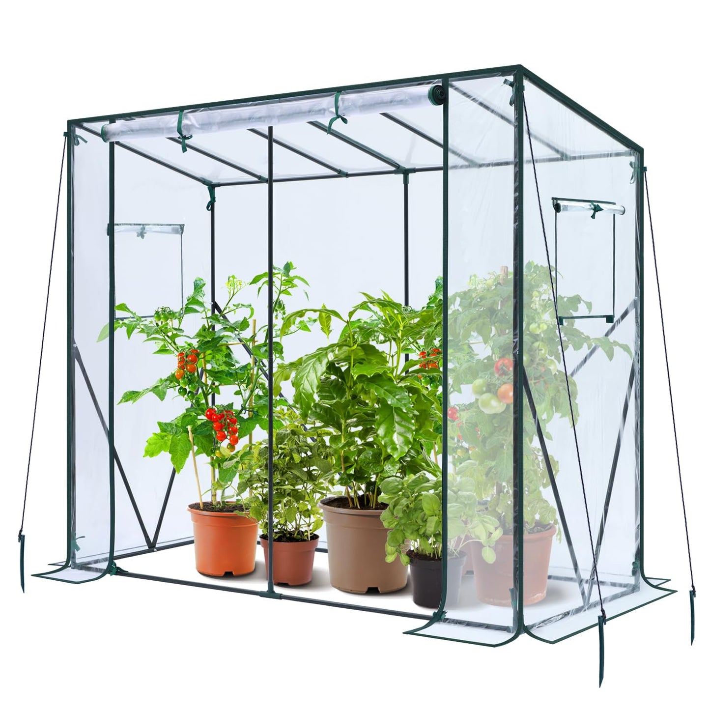 Ohuhu Tomaten Gewächshaus Foliengewächshaus mit PE-Abdeckung und Fernster, Begehbarer Gewächshaus Stabil 200x77x170 cm Gewächshaus Klein Winterfest Tomatenhaus für Optimales Pflanzenwachstum