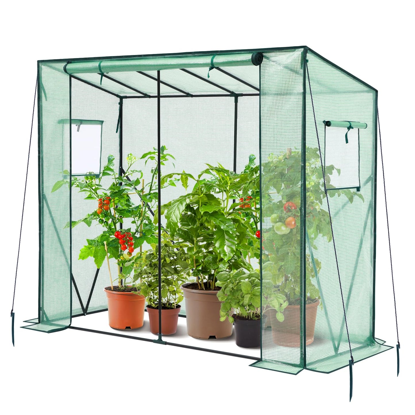 Ohuhu Tomaten Gewächshaus Foliengewächshaus mit PE-Abdeckung und Fernster, Begehbarer Gewächshaus Stabil 200x77x170 cm Gewächshaus Klein Winterfest Tomatenhaus für Optimales Pflanzenwachstum