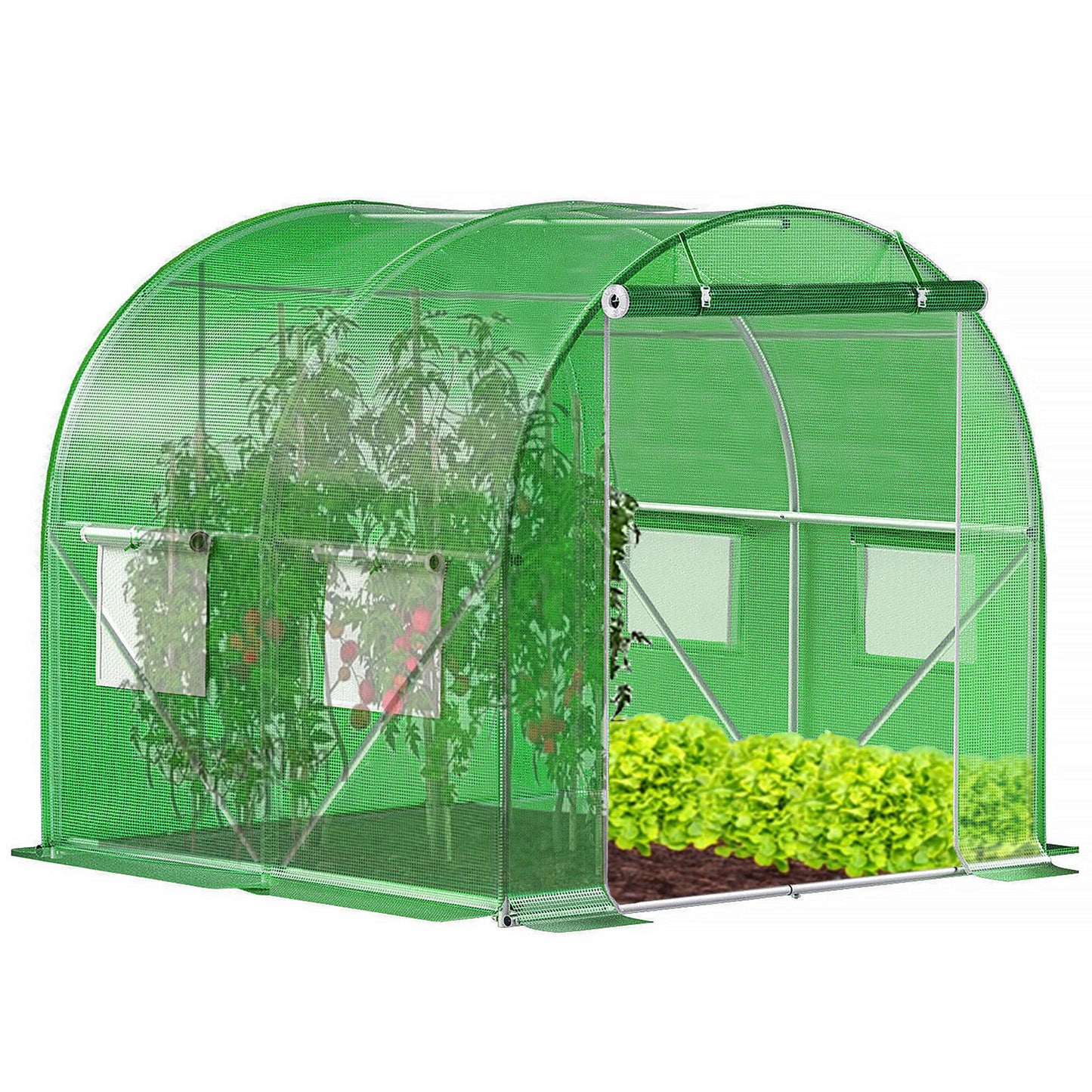 Gewächshaus klein - Foliengewächshaus winterfest mit stabiler Folie für Gewächshaus & Tomatenhaus -Treibhaus & Folientunnel Gewächshaus für Balkon, Garten, Anzucht & Pflanzenzucht - 200 x 300 x 200 cm
