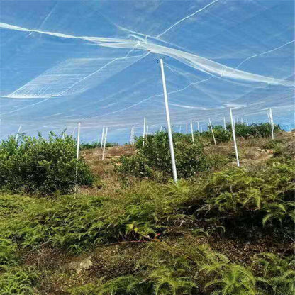 Fruit Tree Anti-bird Nets, Orchard Fish Pond Breeding Nets, Greenhouse Protection Nets, Anti-bird Nets