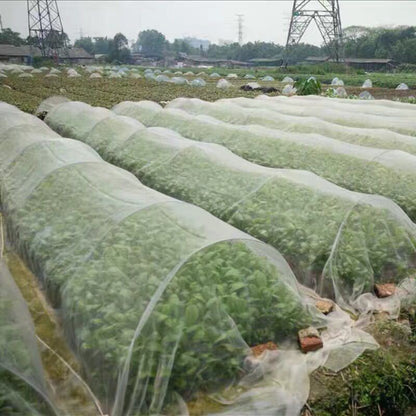 Fruit Tree Anti-bird Nets, Orchard Fish Pond Breeding Nets, Greenhouse Protection Nets, Anti-bird Nets