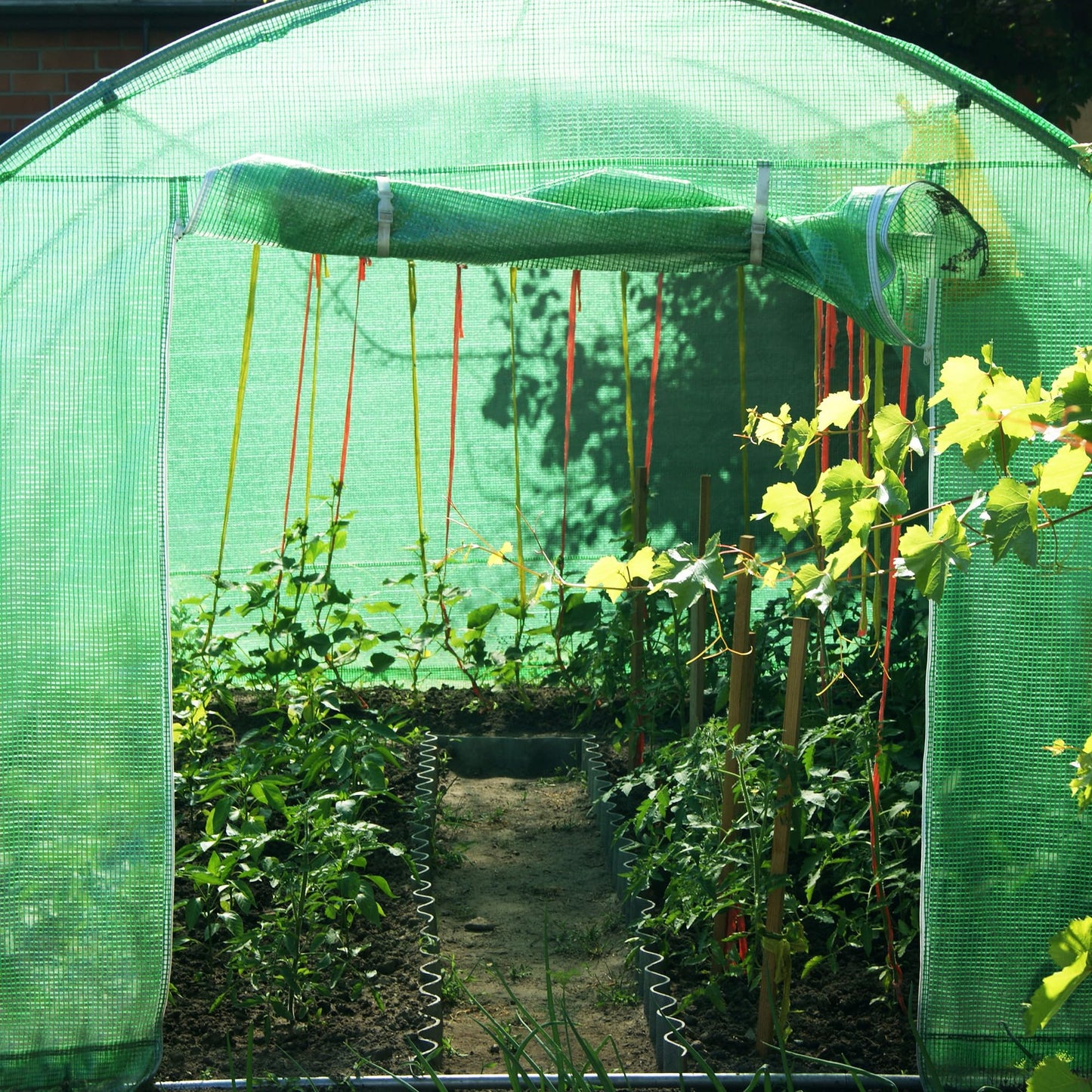 Gewächshaus klein - Foliengewächshaus winterfest mit stabiler Folie für Gewächshaus & Tomatenhaus -Treibhaus & Folientunnel Gewächshaus für Balkon, Garten, Anzucht & Pflanzenzucht - 200 x 300 x 200 cm